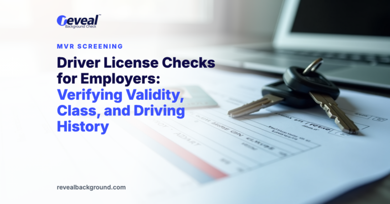Driver License Checks for Employers: Verifying Validity, Class, and Driving History