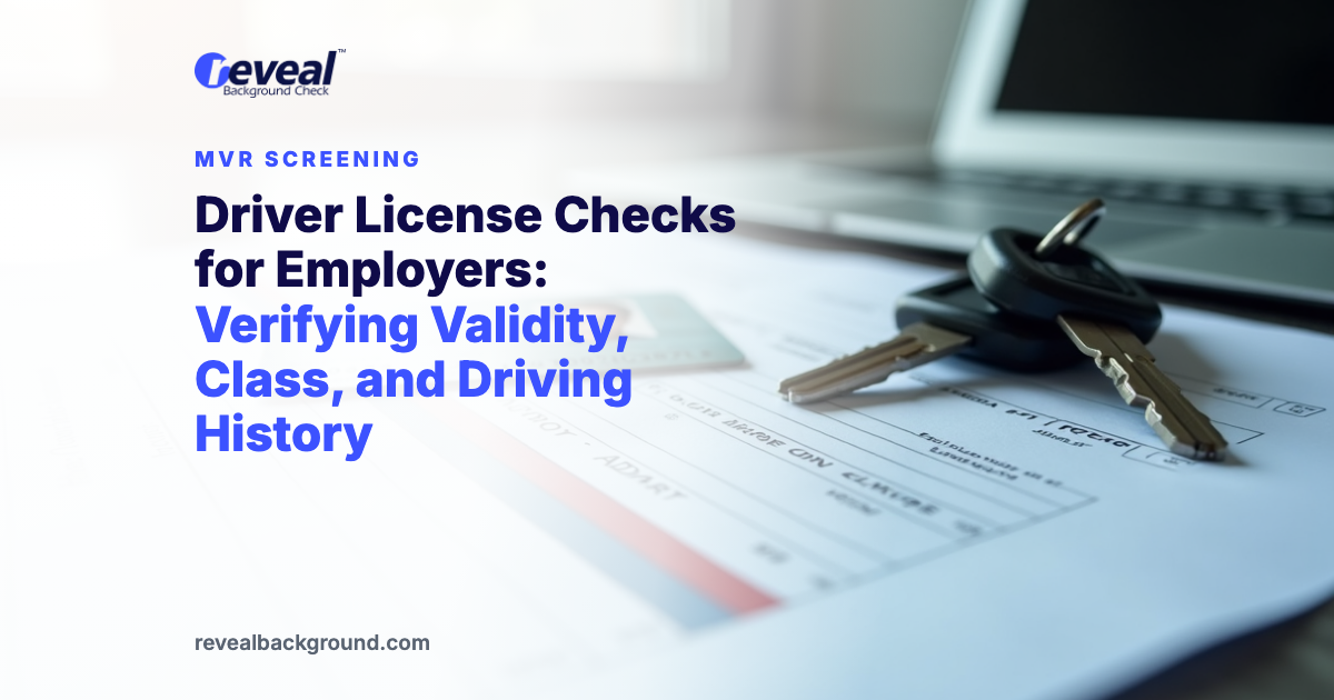 Driver License Checks for Employers: Verifying Validity, Class, and Driving History